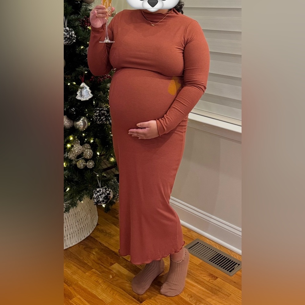 Elegant Rust Long Sleeve MATERNITY Dress